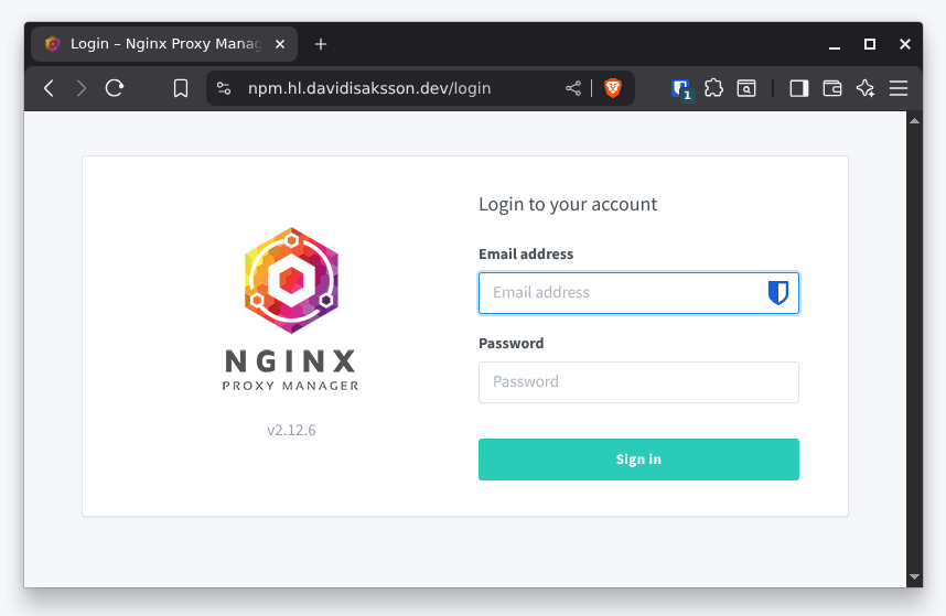 Nginx Proxy Manager with domain name and TLS